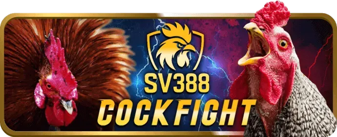 Khuyến mãi cá cược thể thao 36win